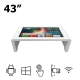 Сенсорный Интерактивный Стол 43" Dekart ITABLE-43001-WT Сенсорный Интерактивный Стол 43" Dekart ITABLE-43001-WT